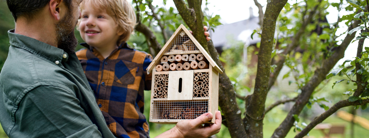 Nuttige insecten | GroenRijk Doetinchem Nuttige insecten | GroenRijk Doetinchem