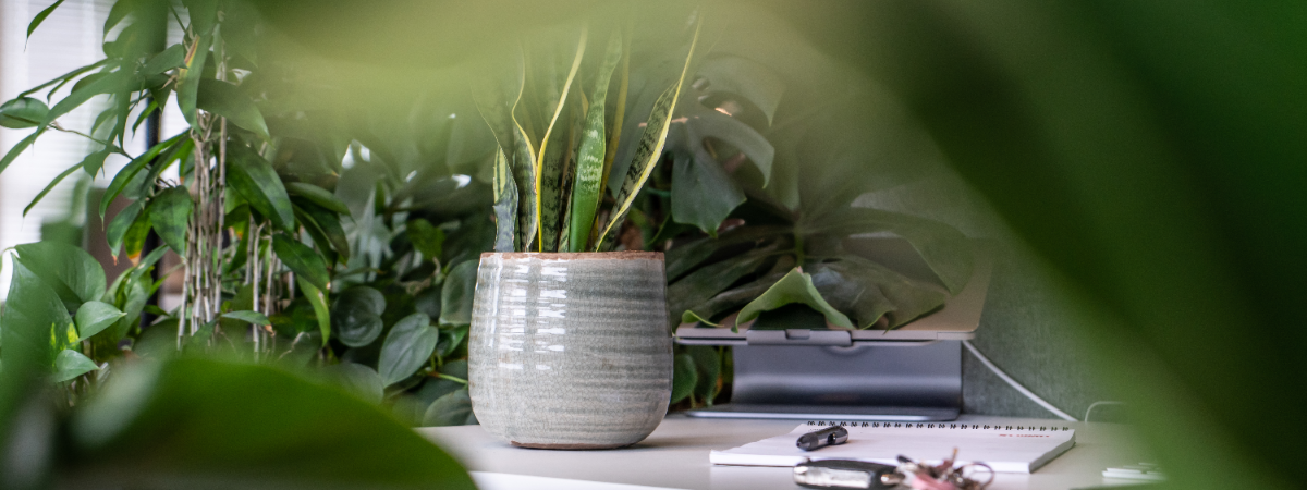 GroenRijk de Steentjes: keramieken potten! GroenRijk de Steentjes: keramieken potten!