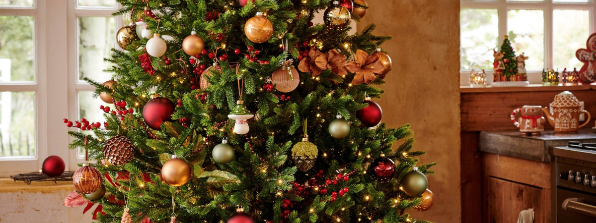 Vier kerst met tuincentrum GroenRijk Doetinchem!