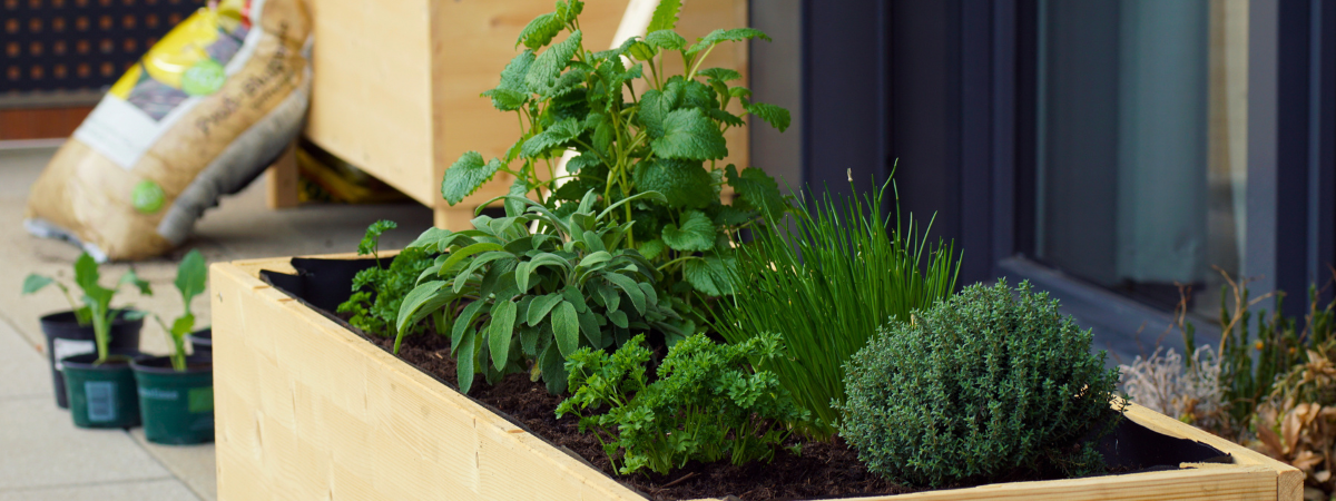 Moestuin: kweekaccessoires | GroenRijk Doetinchem