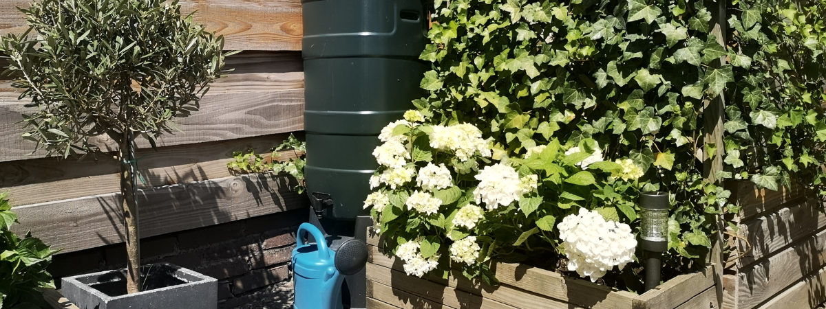 Scoor nú een regenton met korting bij tuincentrum Doetinchem!