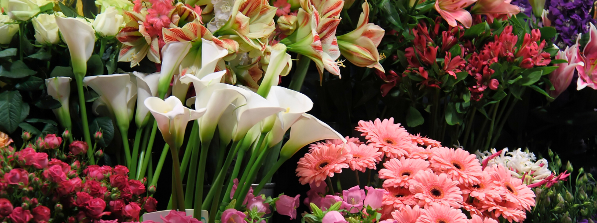 Snijbloemen kopen? Kom naar GroenRijk Doetinchem!