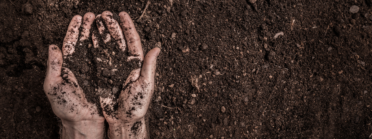 Er is één superheld die vaak vergeten wordt: tuinaarde. Kom aarde kopen bij GroenRijk Doetinchem.