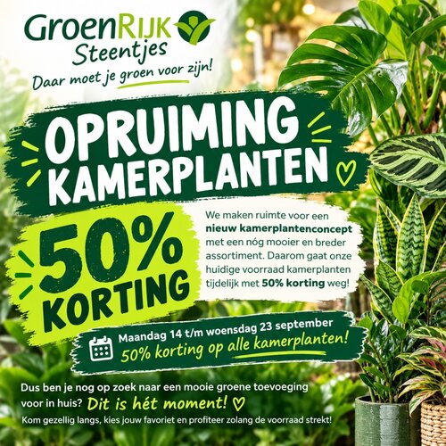 50% korting op alle kamerplanten