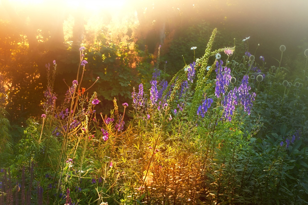 Indian Summer vibes: warme herfstkleuren voor je interieur én tuin