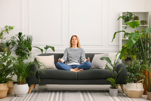 Planten tegen de herfstblues: deze soorten zorgen voor extra positiviteit