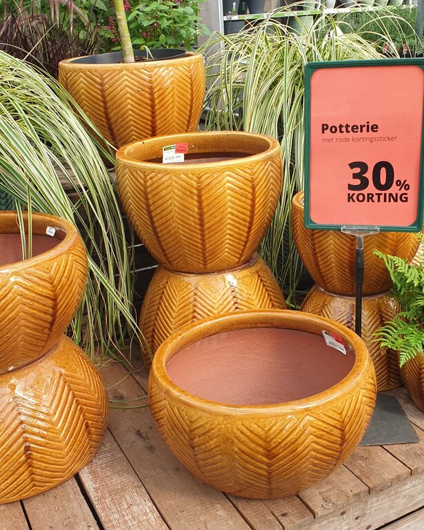 Zomersale bij GroenRijk Doetinchem: profiteer nu van de laatste kortingen