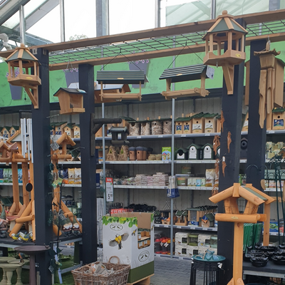 Vogels in de tuin