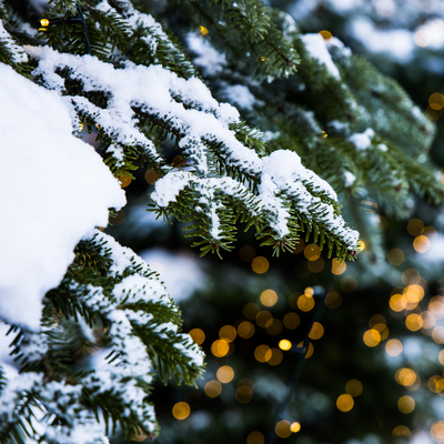 Kunstkerstbomen