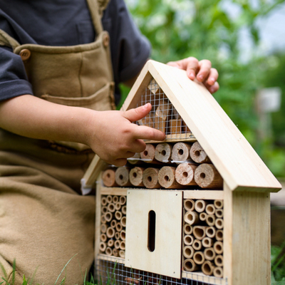 Nuttige insecten | GroenRijk Doetinchem