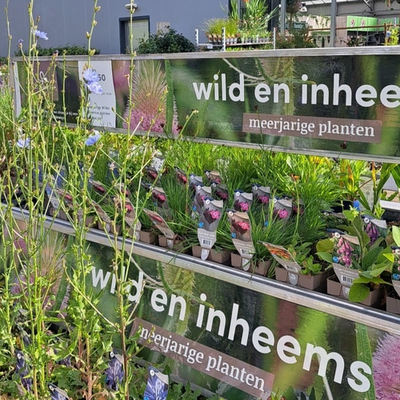 Wild en inheems